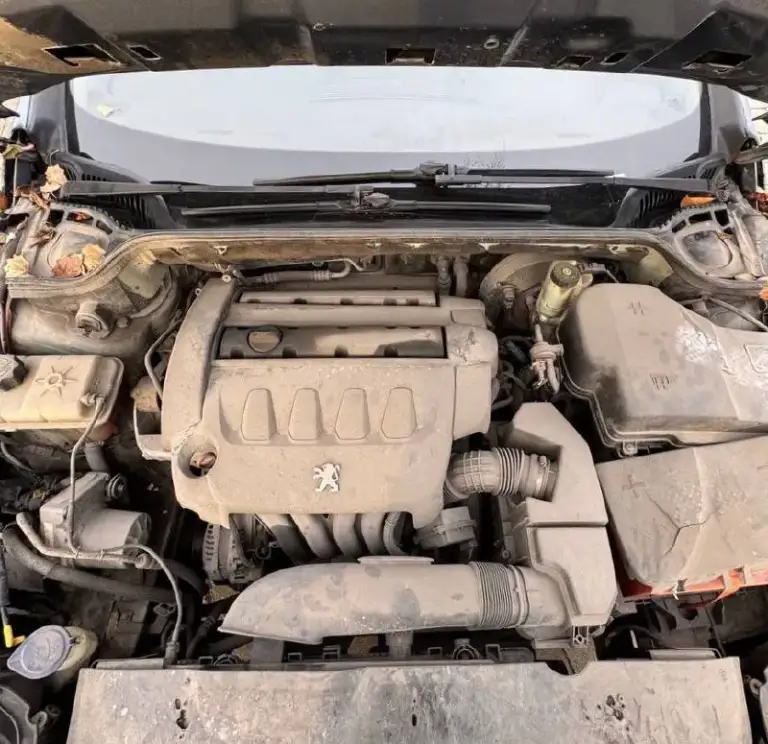 🦁 Peugeot 406

💰Цена: 430 000р
🏢Город: мариуполь
📅Год выпуска: 2008
🧾Пробег: 287 222км.
⚙️Двигатель: 1.6
⛽Топливо: бензин
⚙️Кпп: механика

📞 Телефон:

+7-949-727-41-51
+7-949-551-91-52
+7-989-263-55-56

💾 Описание:

👌 Городской седан идеально подойдёт на каждый день начинающему водителю. Надежный двигатель без расхода масла в паре с классической механикой. Кузов крепкий, не гнилой.

✅ Машина во влодении больше года. Стоит новое сцепление, комплект грм, выполнен ремонт рулевой рейки, полностью новая задняя ходовая.

✅ Кондиционер морозит шикарно, подушки безопасности, полный электропакет, гур, abs, центральный замок, подогрев сидений, оригинальные литые диски на отличной резине, птф.

Улица шевченко 2️⃣6️⃣9️⃣ - фотография - 7