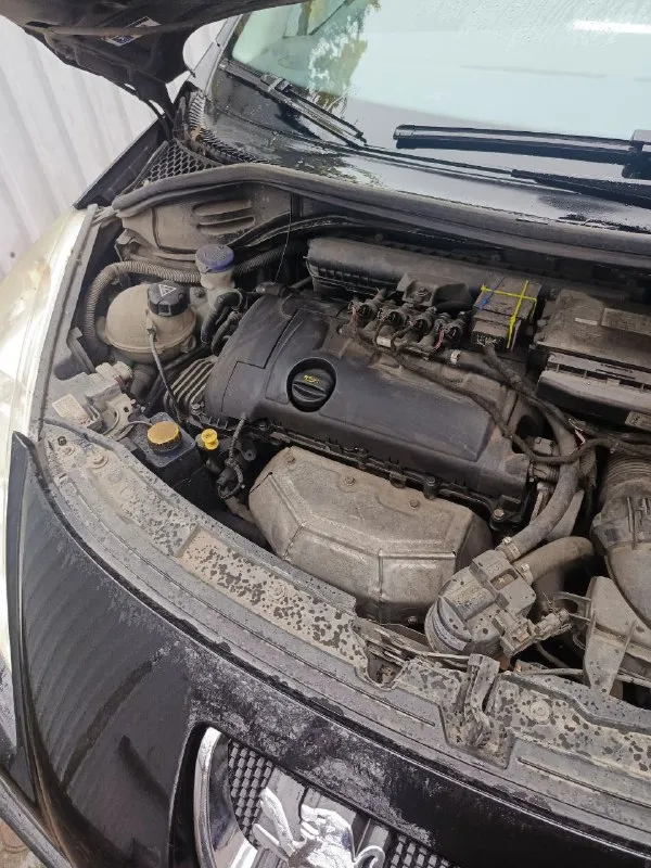 Peugeot 207 универсал
Двигатель 1.4 2010 год
Пробег 250000
К машине нет притензий, кондиционер и ручник рабочий
После прилёта трещина на понораме, не течёт
Зарегистрированный газ, машина местная
Цена 300 тр. Небольшой торг
Номер +79493626773 николай - фотография - 9