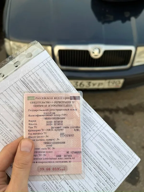 Продаётся scoda octavia skoda октавия мотор 1,6 бензин akl едет тянет отлично ходовая без стуков новое масло в двигателе и коробке хорошая зимняя резина комплектация с климатом!!! Документы ровные оформление/дкп вин на фото все вопросы по телефону цена 390!!! Без глупых вопросов и так низ рынка +79495801585 макеевка/ донецк
📞 Звоните: +7(949)5801585 - фотография - 3