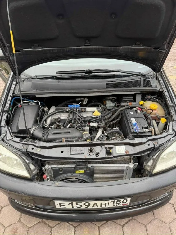 Продам opel zafira 2001 г. В. 📍 город: донецк газ/бензин ⚙️ коробка: механика 💰 цена: 500тыс торг 🚗 надёжный и вместительный минивэн — отличный вариант для семьи или дальних поездок.7 мест двигатель работает отлично, масло не расходует механическая коробка и сцепление в порядке чистый и аккуратный кожаный салон, люк, подогрев сидений электростеклоподъемники, подушки безопасности, abs новая зимняя резина в комплекте новая летняя резина 🧾 документы в порядке, переоформление без проблем. Для связи : +7 (949) 941-23-06
📞 Звоните: +7(949)9412306 - фотография - 3