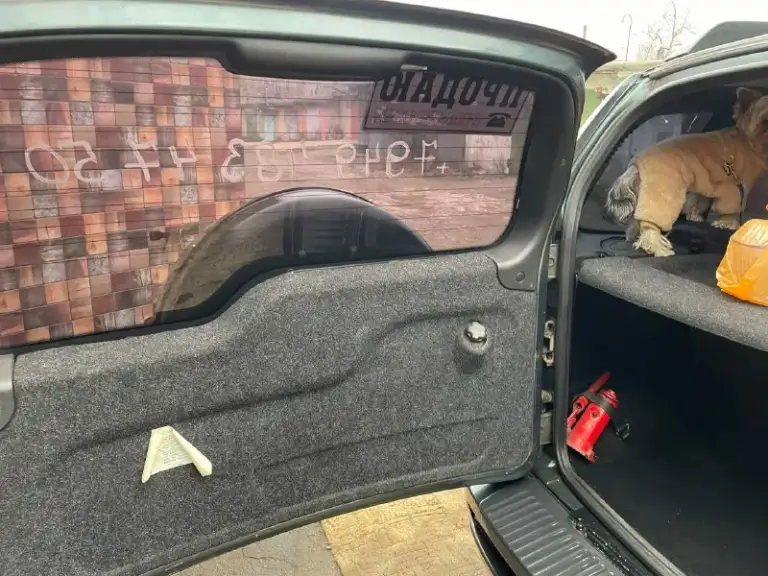 Chevrolet нива 2010г. В. Двигатель 1.7 пробег 176 000 собственник. Цена 560 000 +7 949 483 47 50 авто на полном боевом ходу. Ступицы усиленные urban пошли рыжики, пользуюсь машиной редко делать не хочу
📞 Звоните: +7(949)4834750 - фотография - 6