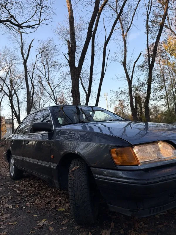 Продам ford scorpio 🔥
Год выпуска:1992🔥
Пробег, км:200.000 🔥
Модификация:2.8 v6 мt 🔥
Тип двигателя:бензин🔥
Коробка передач :механика 🔥
Привод:задний🔥
Тип кузова : легковой седан🔥
Koмплeктaция: comfort🔥
Цвет:синий 🔥
В продаже старичек ford scorpio 2.8 v6 на заднем приводе.
Автомобиль на полном ходу и в хорошей комплектации.
Этот дракон на красивых титанах с хорошим комплектом резины.
Мотор заводится, работает хорошо, не троит, тяга смелая.
Кпп-все передачи включаются, без хрустов, ничего не выбивает.
Салон в нормальном состоянии для своих лет.
Ходовая очень мягкая, дорогу держит уверенно.
По электрике всё в рабочем состоянии.
Так же имеется видео, по просьбе отправлю для более лучшего осмотра авто.
Готов к выезду в любой сервис по вашему желанию.
Многое могу не описать. При встречу всё расскажу и покажу.
Цена:129.999 тысяч
Возможен пригон по договоренности.
Возможен обмен.
Номер для связи:+79495752024,если не в сети (телеграмм или ватсап по этому же номеру) - фотография - 7