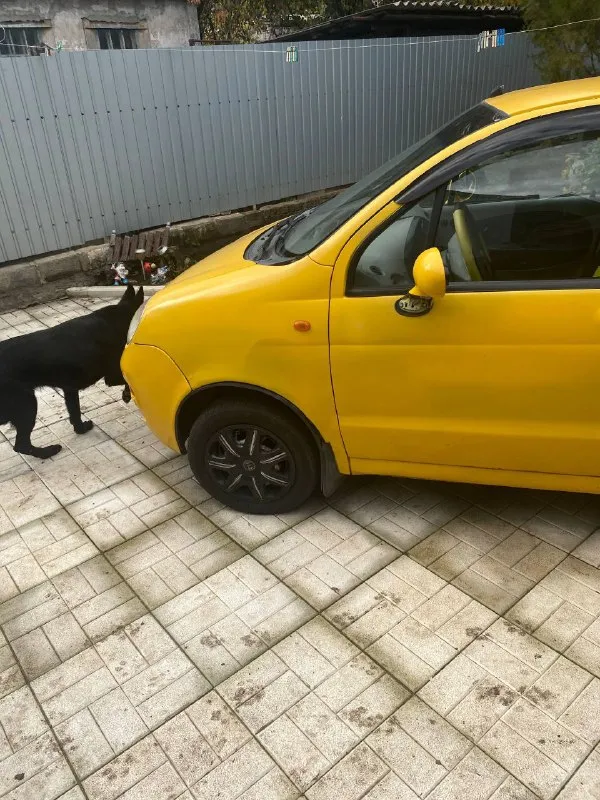 Продам chery qqs 11 2007год выпуска. Покупалось как первый авто супруги. Механика, двигателя 1.1.авто на полном ходу, заменённые:масла, фильтра, ремень грм, тормозная жидкость, масло не жрёт, коробка переключается чётко!!!летняя и зимняя резина в комплекте, мультимедиа. Цену вижу 250, торг только у капота. +79498103296 максим
📲 Tg: @katya33448
📞 Звоните: +7(949)8103296 - фотография - 4