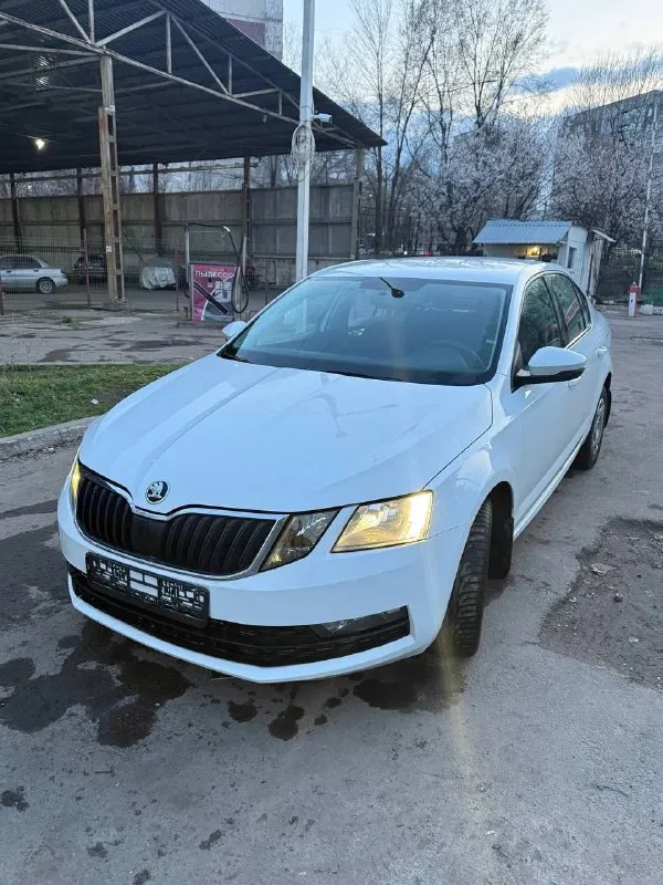 Skoda octavia a7 рестайлинг ( skoda октавия)
Официальная!
2019 Год выпуска
Пробег 151000
Двигатель 1.6 (обычный)
Кпп механическая
Птс оригинал!
Автомобиль в отличном состоянии!
Без юр проблем, в такси не была!
Лицензий никаких не было!
Кузов имеет заводской окрас, за исключением одного элемента, ничего критичного
Автомобиль полностью обслужен - 1000 км назад!
Двигатель 1.6 самый надежный и экономичный (7 литров по городу)
Подвеска не стучит!
Технически на 5+
Кондиционер, подогревы сидений
Два ключа
Чистый и ухоженный салон
Автомобиль без «колхоза» все в оригинале, включая стекла оригинал!
Если вы не с луганска, могу все показать по видео!
Город луганск
Цена 1450000 рублей(торг)
+79591730638
📞 Звоните: +7(959)1730638 - фотография - 1