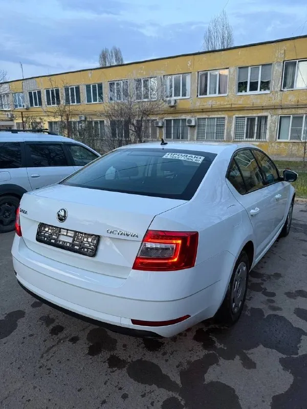 Skoda octavia a7 рестайлинг ( skoda октавия)
Официальная!
2019 Год выпуска
Пробег 151000
Двигатель 1.6 (обычный)
Кпп механическая
Птс оригинал!
Автомобиль в отличном состоянии!
Без юр проблем, в такси не была!
Лицензий никаких не было!
Кузов имеет заводской окрас, за исключением одного элемента, ничего критичного
Автомобиль полностью обслужен - 1000 км назад!
Двигатель 1.6 самый надежный и экономичный (7 литров по городу)
Подвеска не стучит!
Технически на 5+
Кондиционер, подогревы сидений
Два ключа
Чистый и ухоженный салон
Автомобиль без «колхоза» все в оригинале, включая стекла оригинал!
Если вы не с луганска, могу все показать по видео!
Город луганск
Цена 1450000 рублей(торг)
+79591730638
📞 Звоните: +7(959)1730638 - фотография - 5