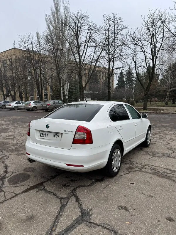 Продам skoda octavia a5 2013 ( рестайлинг).
Бессмертное сочетание 1.8 tsi двигателя cdaa с механической кпп.
По комплектации:
* Передние стеклоподъемники;
* Подогрев сидений;
* Датчик света;
* Датчик дождя;
* Хорошая музыка;
По кузову никаких абсолютно нареканий нет. Ни одного рыжика, хорошая оптика.
Цена 840 тысяч, есть некоторые недочеты, на которых готов уступить. Про них расскажу реальному покупателю.
Звонить по номеру телефона +79496416023 - фотография - 5