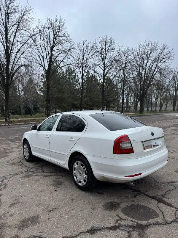 Продам skoda octavia a5 2013 ( рестайлинг).
Бессмертное сочетание 1.8 tsi двигателя cdaa с механической кпп.
По комплектации:
* Передние стеклоподъемники;
* Подогрев сидений;
* Датчик света;
* Датчик дождя;
* Хорошая музыка;
По кузову никаких абсолютно нареканий нет. Ни одного рыжика, хорошая оптика.
Цена 840 тысяч, есть некоторые недочеты, на которых готов уступить. Про них расскажу реальному покупателю.
Звонить по номеру телефона +79496416023 - фотография - 6