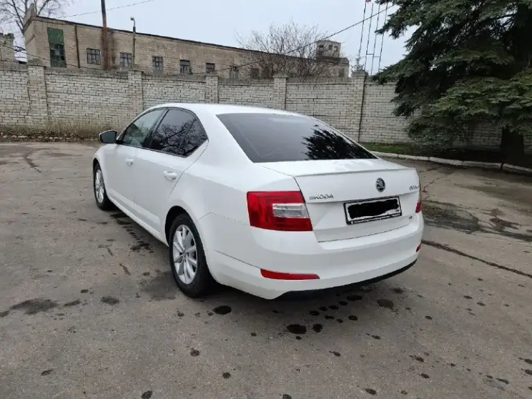 Skoda octavia a7 1.8 tsi, 2013 г. В. , пробег 280 тыс. , своевременное техническое обслуживание, заменена цепь грм, масло не ест, вложений не требует.
Цена: 1 250 000₽
Осмотр: донецк, торез.
Телефон: +79496310383. - фотография - 3