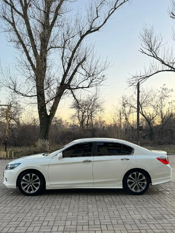 Honda accord
💰1.270.000💰
2014Г
2.4 Мт srort версия (180 лс)
Пробег 235.000 родной, любые проверки!
Мотор в отличном состоянии, едет как ракета 🚀, при этом не дымит, масло не ест, не троит, все отлично!
Мкпп, не выбивает, не хрустит, не воет! Переключает мягко, комфортно, легкая в езде!
Ходовая без нареканий, ничего не гремит, не стучит, мягкая комфортная) и при этом очень быстрая тачка) 🚀🚀🚀
По электрике все есть необходимое, и все работают исправно, без каких либо нареканий!
Документы чистые, без запретов, без штрафов, любое переоформление где угодно! Можно с моим присутствием по желанию.
Осмотр г. Макеевка
Связь +7949-607-32-69
+7949-489-08-56 Есть тг
Цена 1.270.000 руб торг реальному клиенту
Круче тачки, за эти бабки, не взять!
Дешевая в обслуживание, маленький расход, крутой вид, прекрасно рулится, и едет как ракета 🚀
📞 🇷🇺 Звоните: +79496073269 - фотография - 7