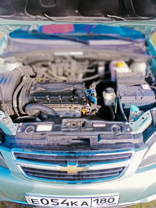 Продам семейный автомобиль chevrolet лачетти хетчбэк за 530т. Р, 2006г. 1.4 на 95 л. С, мкпп, гур, абс, цз, кондиционер, задний парктроник все работает, чек не горит, пробег 205т. Км, автомобиль вложений не требует, кузов без рыжиков как на фото, мотор сухой, масло не расходует не дымит катализатор на месте. Все жидкости заменены ничего не вытекает. Салон чистый ухоженный, работает каждая кнопка, новый компрессор кондиционера с трубками и радиаторами, новый радиатор печки, стекла родные, лобовое без сколов и трещин, дно без гнили и рыжиков, машина на зимней резине, лето тоже имеется. Задатки, обмены, свои цены не предлагать!!! Хотите посмотреть, заранее звоните +7949 9240292 цена 530т
📲 Tg: олег олегович
📞 Звоните: +7(949)9240292 - фотография - 9