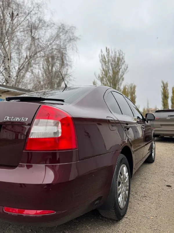 В продаже skoda octavia a5 (2012 г)
1.6 Механика.
141.000 Оригинального пробега✅
1 Хозяин. ( машина местная, не пригон )
Стоит газ. Оборудование ✅
Автомобиль в идеальном состоянии как внешне, так и внутри. Машина отполированна, нанесена керамика ✅
Недавно была сделана полностью ходовая часть.
За машиной ухаживали, денег не жалели.
Кожаный салон в идеальном состоянии.
Работает абсолютно все.
Двигатель на 5+, коробка без замечаний, ходовая 5+ ✅
В машине стоит планшет teyes, 2 комплекта ковриков в подарок.
2 Комплекта колес.
Резина зима новая, лето на литье.
Авто прошло полное т/о
По машине делать абсолютно ничего не нужно, сел - поехал.
Цена: 1.135.000 рублей.
Продаю в связи с покупкой нового авто.
Звонить по номеру +79496072294 ( если недоступен telegram, whatsapp по этому номеру 📱) 🤝
📲 Tg: @valut777
📞 Звоните: +7(949)6072294 - фотография - 4