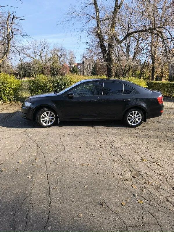 Продам skoda а7 2.0 тди, dsg6-мокрая,2013г пробег 130.000т. В очень хорошем состоянии, новая зимняя резина, везде оригинальные коврики, сабвуфер, догреватель салона, сигнализация, контурная подсветка салона, сервисная книга, два ключа, во владении больше 3 лет, я второй хозяин. Цена 1500000. Макеевка. ±79493618562
📞 Звоните: +7(949)3618562 - фотография - 3