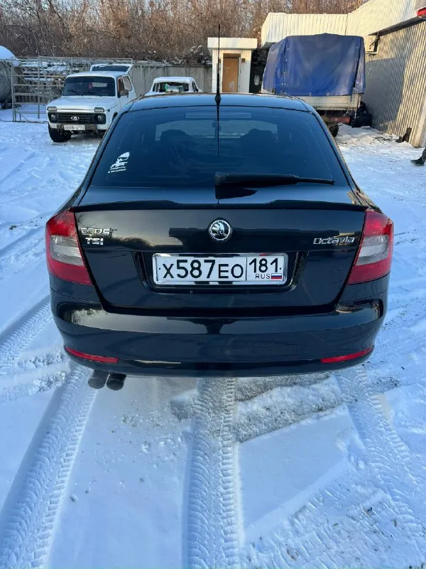 Продам skoda октавия а5 2010 год мотор 1.8т полностью обслужен, масла фильтра, цепь менялось 1000 км назад коробка в отличном состоянии масло поменяно, работает идеально без пинков и рывков новые супорта, тормозные диски и колодки новая зимняя резина 1 stage прошита, едет очень достойно, расход радует стоит дорогой и приятный выхлоп двухзонный климат обслужен и заправлен фреон. Подогрев передних и задних сидений музыка болеро хороший свет, регулировки все работает в машине работает все каждая кнопочка. Переоформление без проблем продажа от собственника цена 790 000₽ макеевка +79493341707
📞 Звоните: +7(949)3341707 - фотография - 6