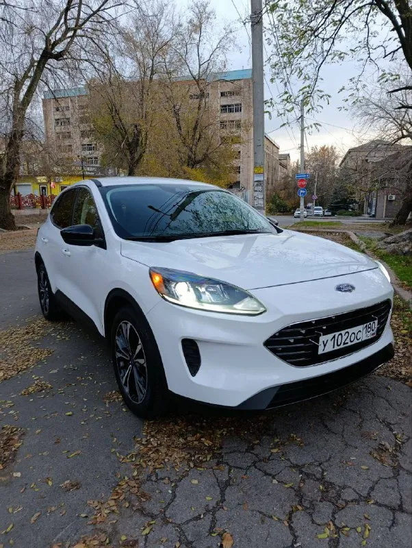 Продаю собственный автомобиль ford escape 2021

Двигатель 1.5 турбо (бензин) 180 л. С.
Акпп 8 ступенчатый гидроавтомат от форд 8f24

Пробег 37,000 км

Расход топлива в смешанном цикле составляет около 10+- литров на 100 километров. Клиренс 20 см.

Ford escape оснащен всеми необходимыми системами безопасности и комфорта. В частности, в автомобиле установлены системы abs и esp, а также фронтальные и боковые подушки безопасности для водителя и переднего пассажира, а также для пассажиров сзади сбоку. Также автомобиль оборудован кондиционером, мультимедийной системой с сенсорным экраном и возможностью подключения смартфонов через bluetooth (carplay). Кроме того, есть камера заднего вида, которая облегчает парковку в условиях города. Дополнительно установлен видеорегистратор.

Салон автомобиля выполнен из высококачественных материалов, что создает приятную атмосферу внутри. Сиденья удобны и эргономичны, благодаря чему даже длительные поездки будут проходить с комфортом. Диски r19 лето и r18 зима. Оба комплекты резины и дисков новые.

Тормоза дисковые передние и задние. Заводится с кнопки старт-стоп, бесключевой доступ, камера заднего вида с динамической разметкой и парктрониками, датчики давления шин, система старт-стоп, помощник при трогание в гору, carplay (русифицированная навигация), новый комплект шин, круиз контроль, удержание в полосе, адаптированный свет, климат контроль двухзонный, выбор режима езды.

Автомобиль прошел все необходимые технические осмотры и готов к эксплуатации без каких-либо проблем.

Один хозяин, электронный птс

Нет штрафов, и запретов ✅

Цена 2,000,000 рублей❗️❗️❗️ + комплект зимней резины с r18 дисками в подарок (при желании можете сохранить номер)

+79494185917 - Алексей - фотография - 3