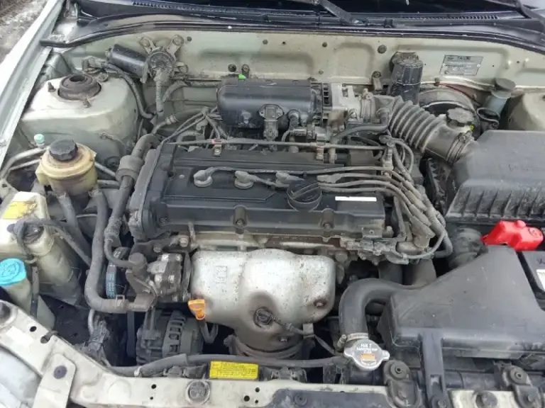 ❗️ Hyundai accent ❗️от собственника. 2008 г. В. Двс сухой, специально не мыл, работает ровно, не дымит, тянет отлично. Мкпп переключается как положено, мягко, без посторонних звуков.
❗️Комплектация мт 2 с кондиционером (работает)❗️…гидроусилитель руля,   корректор фар, обогрев заднего стекла.
Кузов без дыр, рыжиков и шпатлёвки. Стекла родные, кроме лобового (менялось из за термотрещины).
10 Тыс. Км назад было то. (замена ремня грм, ролики, помпа, в круг колодки, шаровые опоры, сделан сход-развал)
Салон не прокурен и не протёрт. Печка греет отлично.
Резина зима (шипы). Установлена сигнализация.
Стоит хорошая музыка, провода под сабвуфер. Поёт достойно.
Цена 350 тыс. Руб. Торг присутствует.
Тел. : +79498457847
📞 Звоните: +7(949)8457847 - фотография - 5