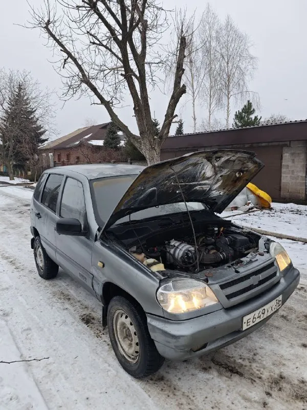 Шевроле нива 4х4 2006г.
Автомобиль на полном ходу, доедет куда угодно и обратно! 1.7, инжектор после кап. Ремонта, убедитесь при осмотре, движок шепчет.
По металлу все целое, варить не надо. Изъяны только внешне!
Юридически чистая, документы на руках, переоформление без проблем.
Ходовая мячик, раздатки работают в штатном режиме.
Комплектация с кондиционером!!!
2 Электроподьемника, сигнализация, подогрев передних сидений, гур перебран, рулевая новая.
Цена 330 000р уместен торг
Осмотр в г. Енакиево
+79491016439
+79518746583
📲 Tg: руслан
📞 Звоните: +7(949)1016439 - фотография - 5