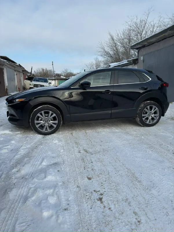 💥 Mazda сх-30💥 пробег:2021г. Пробег:86000 обьём:2,5(197л. С) привод: полный машина в идеальном состоянии, крашен капот и передний бампер, подушки не стреляли, капот в бронеплёнке, кожанный салон, 2х зонный климат, новый акум. , цена:290000 +79493324137 павел
📞 Звоните: +7(949)3324137 - фотография - 1