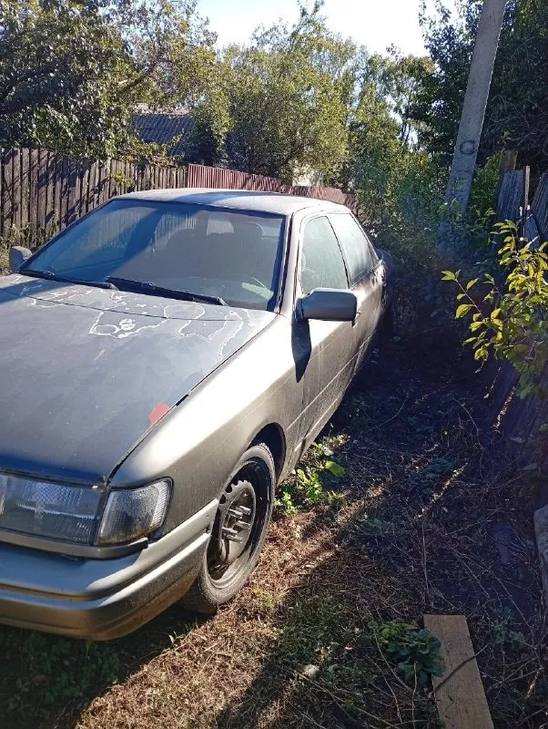 ↘️В продаже ford-scorpio↙️
‼️Внимательно читайте объявление ‼️
Техническое состояние 4/5
Двигатель-2.0л❗️
Машина на ходу (надо поменять втягивающее стартера)❗️
Резина хорошая, зима шипы ✅
Ходовка в хорошем состоянии 👌
Кузовное состояние 4-
В дтп не участвовала ❗️
‼️Утеряны документы‼️машину продаю под разбор. Либо на сво‼️
Учет днр, хозяин на связи❗️
💲Цена-60000т. Р💲быстрым торг✅
Писать в лс
Либо +79785214992
✳️Находится в снежном✳️
📞 Звоните: +7(978)5214992 - фотография - 3