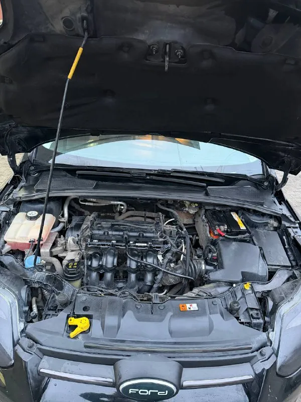 Продам ford focus 3 2013 год. Собственник
1.6(125)
Пробег 180 тыс.
Машина в отличном, ухоженном состоянии, вложений не требует, на полном ходу!
Технически в полном порядке.
«Двигатель масло не расходует (от замены до замены) работает ровно тихо, пробег родной.
• Коробка в отличном состоянии, переключается без тычков. ❗️была замена сцепления 20 тыс назад.
- Ходовая часть полностью обслужена.
Салон чистый, ухожен, опрятный.
- Кондиционер заправлен (дует хорошо),
-Оригинальное лобовое стекло с подогревом.
‼️Новая зимняя резина + летняя на оригинальных титановых дисках.
Юридически в полном порядке готов к переоформлению без штрафов, залогов, ограничений. Торг уместен.
Г. Донецк
Цена 850.000 руб
Феникс +79496411397
Телеграмм +79591386618
📲 Tg: @polina234
📞 Звоните: +7(949)6411397 - фотография - 9
