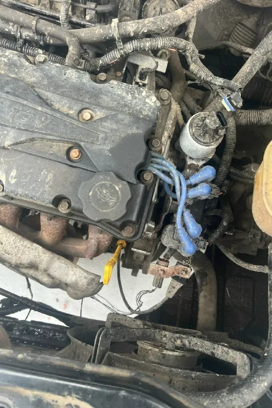 В продаже chevrolet klan (лачетти) хэтчбек 2011 г. В, мотор 1.6 110 л. С. Мкпп. Полная комплектация. Не на ходу. Косяки: оборвало мотор с подушки (лопнул картер есть на фото, нужна заварка аргоном и усиление пластиной), течёт нижний бак радиатора, радиатор в наличии нужна замена, требуется замена кулисы (она так же в наличии), пропал холостой (либо чистка егр клапана либо замена дросселя, не успел сделать диагностику) подтекает рулевая рейка (гур), подъедает масло только когда выше 4 тыс. Оборотов крутить. Колодки новые, резина лето, r15 титаны. Водительское стекло клинит, но это мелочи жизни. Стоит музыка, играет приятно, магнитола мощная процессорная. Причина продажи: попал в финансовый кризис, нет возможности ремонтировать авто, отрываю от сердца жалко что пропадёт так бы и сам отремонтировал. Цену вижу 270 тыс. Рублей, с адекватной скидкой на эвакуатор. Единственное что не успел переоформить на себя, сломалась за день до поездки в мрэо, все документы на руках, так же
📞 Звоните: +7(949)3137478 - фотография - 4