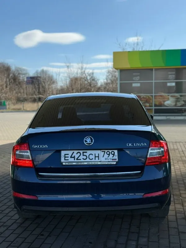Skoda octavia a7 2015 год.1.6автомат⚙️ цена 🔥 1.100 🔥 автомобиль в очень достойном состоянии 👍 всего 2 хозяина за всю историю эксплуатации 🆕 птс - оригинал 💯 двигатель 1.6 самый надeжный в линeйкe skoda фольцвагeн, в отличном сocтoянии, тянeт oтлично, масло не расходует не грамма. Коробка автомат без нареканий. Машина обслуживается по регламенту. Расход очень радует 🤗ходовая на 5 из 5 ❗️ очень красивый темно синий цвет 😍 салон чистый не просиженный, в машине никогда не курили ☝️ два оригинальных ключа в комплекте ✅ документы в полном порядке, оформление без проблем. Город макеевка +79495124334
📞 Звоните: +7(949)5124334 - фотография - 5