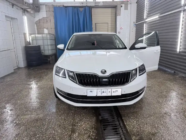 Продам skoda октавию а7 рестайлинг, пробег 180 тыс. 2017 год, по машине нет вопросов вообще, вся ходовая часть новая, есть чеки и наряды, грм и помпа новая, новые свечи оригинал, масло в дсг и в двс поменяло, помыты радиаторы и заправлен кондиционер, новая резина с новыми р18 дисками, самая максимальная комплектация, сидения с памятью, алькантара со вставками кожи, без ключевой доступ, автопарковка, большой монитор сенсорный, подсветка карт дверей с функцией изменение цвета. Хорошая музыка, лучше чем штатная музыка.
Все вопросы по телефону, расскажу и покажу машину и съезжу на любую сто.
Цена 1.850 торг
+79494013250
Макеевка
📲 Tg: @emilahmedov26
📞 Звоните: +7(949)4013250 - фотография - 4