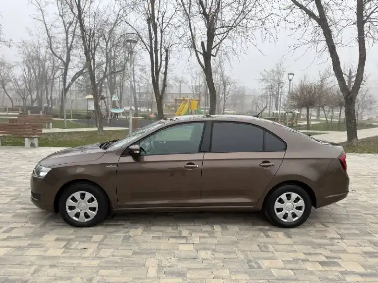 Продам skoda rapid 2019 год 1.6 мкпп автомобиль в состояние нового родной пробег 66000 тыс эксплуатировался одним собственником потом перешёл по наследству эксплуатировался без дтп весь в родном окрасе! Все стекла в круг родные нет не царапин ни вмятин состояние близко к новому! По технической части идеальный с новья заливалось только оригинальное масло осмотр город мариуполь цена 1375000 тыс рублей по всем вопросам звоните +79497221071 - фотография - 6
