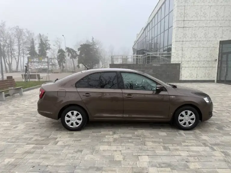 Продам skoda rapid 2019 год 1.6 мкпп автомобиль в состояние нового родной пробег 66000 тыс эксплуатировался одним собственником потом перешёл по наследству эксплуатировался без дтп весь в родном окрасе! Все стекла в круг родные нет не царапин ни вмятин состояние близко к новому! По технической части идеальный с новья заливалось только оригинальное масло осмотр город мариуполь цена 1375000 тыс рублей по всем вопросам звоните +79497221071 - фотография - 7
