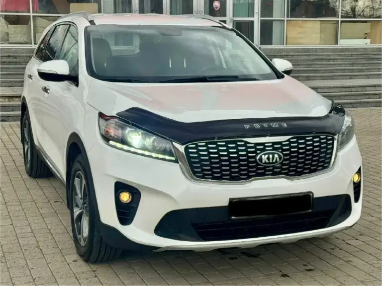 Kia sorento prime 2018 год awd ( полный привод ) двигатель 2.0 коробка автомат пробег 145 тыс. Км автомобиль в отличном состоянии, весь обслужен от а до я, кузов без дтп весь в заводском окрасе ! Максимальная комплектация, бесключевой доступ (start-stop) кожаный салон, роздельный климат -контрол, круиз -контроль, датчики света и дождя, подогрев, и вентиляция передних сидений, подогрев задних сидений, подогрев руля, подогрев зеркал, и стекл, парктроники, камера заднего вида, и много чего другого ! С документами полный порядок любой вид оформления. Г. Донецк цена 2.450 тыс. ₽ звоните остальное по +794945210885
📞 Звоните: +7(949)4521088 - фотография - 4