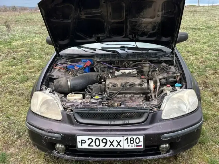 Автор: 260т. Рублей г. Торез хонда цивик 6 ек3 1998г двигатель d15z6 (115л. С) (менялся вписан в птс) акпп привод- передний салон в хорошем состоянии двигатель масло не расходует, не течет, не перегревается. Акпп без проблем по электрике без проблем. Все работает сигналит, светит, моргает, открывает-закрывает. Люк работает во все положения гур работает четко автозапуск работает музыка есть дно переваривалось стоят кайловеры. В придачу отдам родной воздушный фильтр и родные стойки +7 (949) 502-18-99 павел. . !!!наш телеграм канал [ бесплатное размещение за репост!!! Правила сообщества [ мы в мах [ [
📞 Звоните: +7(949)5021899 - фотография - 8
