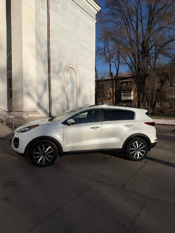 🏎️ Kia sportage 2.4 at 4wd ex
🗓️ Год выпуска: 2018 (vin 2019)
Состояние идеал, покрыт керамикой!
Пробег : 130 тыс. Км ( родной подтвержденный)
Комплектация "exlusive”:
Панорамная крыша
Вентиляция сидений
Музыка harman/kardon
Удержание в полосе
Диски r18, летняя/зимняя резина
Сигнализация starline с автозапуском
Бесключевой доступ
Электропривод сидений
Кожаный салон (как новый)
Парктроники (перед/зад)
Камера заднего вида
Датчики света
Датчики слепых зон
Электропривод багажника с кнопки
Сенсорный дисплей (carplay, android auto)
Складывающиеся внешние зеркала с указателями поворота
Подогрев сидений
Подогрев руля
Климат-контроль 2-х зонный
🥇Авто в идеальном техническом состоянии. Один владелец по эптс, бережная эксплуатация. Стекла все заводские
И коробка без нареканий (любые проверки)
Обслуживал по регламенту. Замена масла каждые 7тыс. Км
Машина обслужена и готова к дальнейшей эксплуатации (дополнительных вложений не требуется, сел и поехал).
2 Ключа
Пройден то
📞 Звоните: +7(959)1843184 - фотография - 4