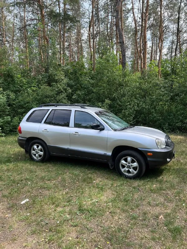 Цена. 450000!!!продажа/обмен. Санта-фе 2002г выпуска, пробег223000км. Двигатель обьемом2.4бензин, коробка автомат. Передний привод. Кузов в хорошем состоянии, ходовая не гремит, едет мягко, новые задние, передние стойки, колодки, заменено масло в, новый радиатор охлаждения, хорошая резина, двигатель масло не ест, не дымит. Салон не затёрт, печка греет, все работает. Постоянный учёт 180!!!авто в макеевке. Вопросы в л. С79498276980,всем мира
📞 Звоните: +7(949)8276980 - фотография - 4