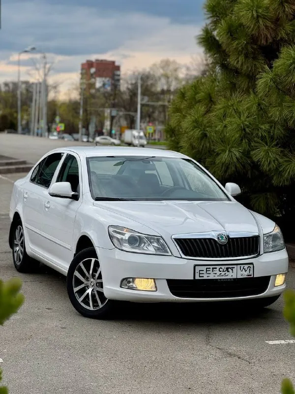 Skoda octavia a5 1.6 bse мкпп 2012 г. В. 170т. Км пробег
Автомобиль в идеальном состоянии, весь в родном окрасе с оригинальным пробегом подтвержденный автотекой!!!
Все стёкла заводские !!!
Салон как в новом авто!
Одна владелеца 14 лет!!!
Очень хорошая комплектация
-Полный электропакет
-Подогрев сидений/зеркал/стекол/форсунок омывателя
-Датчик света
-Датчик дождя
-Зеркало с авто затемнением
-8 Динамиков аудиосистема bt/aux/ mp3
-Кондиционер
-Новые диски r 16 с хорошей летней резиной nokian
По авто сделано полное то
Все жидкости, фильтра, колодки в круг, основной и радиатор кондиционера поменян!!
Два ключа !
Все заказ-наряды по авто с первого дня владения имеются!
Цена 895 тыс. ₽
+79493897964 (Звонки/тг/макс)
Владислав
📲 Tg: @vladislavvlkav
📞 Звоните: +7(949)3897964 - фотография - 1