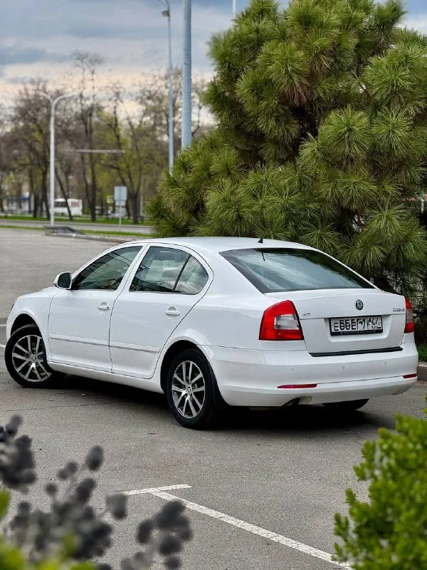 Skoda octavia a5 1.6 bse мкпп 2012 г. В. 170т. Км пробег
Автомобиль в идеальном состоянии, весь в родном окрасе с оригинальным пробегом подтвержденный автотекой!!!
Все стёкла заводские !!!
Салон как в новом авто!
Одна владелеца 14 лет!!!
Очень хорошая комплектация
-Полный электропакет
-Подогрев сидений/зеркал/стекол/форсунок омывателя
-Датчик света
-Датчик дождя
-Зеркало с авто затемнением
-8 Динамиков аудиосистема bt/aux/ mp3
-Кондиционер
-Новые диски r 16 с хорошей летней резиной nokian
По авто сделано полное то
Все жидкости, фильтра, колодки в круг, основной и радиатор кондиционера поменян!!
Два ключа !
Все заказ-наряды по авто с первого дня владения имеются!
Цена 895 тыс. ₽
+79493897964 (Звонки/тг/макс)
Владислав
📲 Tg: @vladislavvlkav
📞 Звоните: +7(949)3897964 - фотография - 4
