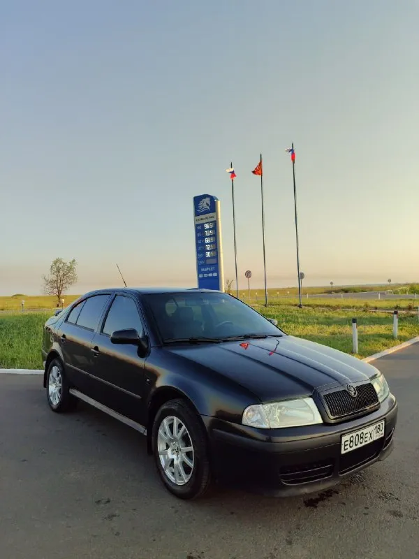 Продам skoda октавию а4, тур 2008 года
Пробег 235.000км
Я собственник
В родном wts обвесе
Bfq на 1.6л. Не дымит, не троит, масло не расходует
Коробка механика 5 ступка. Ничего не хрустит, не выбивает
В хорошем техническом состоянии, без нареканий
Машина в родном окрасе (кроме порогов). В силу возраста имеются сколы, машина без гнили, кузов оцинкован.
Заводское остекление (кроме лобового стекла)
На пробеге 165.000км делалась капиталка двс
За машиной ухаживал, делал все во время, замена масла каждые 7.000км.
Установлена андроид мультимедиа с carplay, камера заднего вида, парктроники, видеорегистратор. Хорошая музыка + активный сабвуфер
По комплектации: кондиционер, передние подушки безопасности, гидроусилитель руля, передние эсп, электро регулировка боковых зеркал с подогревом, подогрев заднего стекла, abs, круиз контроль
2 Комплекта ключей, сервисные книжки
2 Комплекта резины, зима, лето
Цена 620.000 руб, хороший торг у капота
Находится в днр г. Шахтёрск
Более подробн
📞 Звоните: +7(949)8445752 - фотография - 2