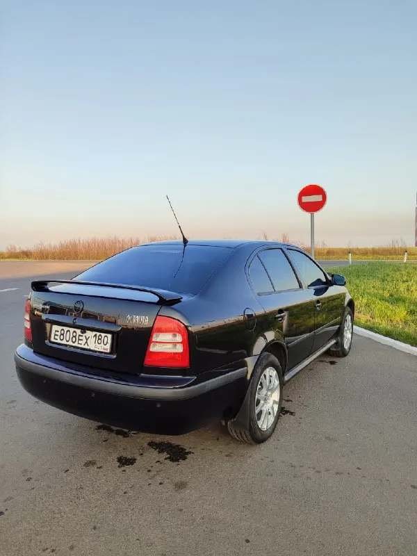Продам skoda октавию а4, тур 2008 года
Пробег 235.000км
Я собственник
В родном wts обвесе
Bfq на 1.6л. Не дымит, не троит, масло не расходует
Коробка механика 5 ступка. Ничего не хрустит, не выбивает
В хорошем техническом состоянии, без нареканий
Машина в родном окрасе (кроме порогов). В силу возраста имеются сколы, машина без гнили, кузов оцинкован.
Заводское остекление (кроме лобового стекла)
На пробеге 165.000км делалась капиталка двс
За машиной ухаживал, делал все во время, замена масла каждые 7.000км.
Установлена андроид мультимедиа с carplay, камера заднего вида, парктроники, видеорегистратор. Хорошая музыка + активный сабвуфер
По комплектации: кондиционер, передние подушки безопасности, гидроусилитель руля, передние эсп, электро регулировка боковых зеркал с подогревом, подогрев заднего стекла, abs, круиз контроль
2 Комплекта ключей, сервисные книжки
2 Комплекта резины, зима, лето
Цена 620.000 руб, хороший торг у капота
Находится в днр г. Шахтёрск
Более подробн
📞 Звоните: +7(949)8445752 - фотография - 4