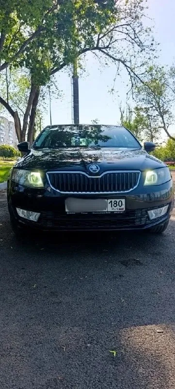 Продам skoda octavia 2014 tsi 1.4 (140л. С. ) 258000км. Цена 1.150.000₽ пред максимальная комплектация, двухзонный климат контроль, мульти-руль, новая резина. Технически обслужен: заменены все расходники и жидкости. Состояние сел и поехал. Тел. +79497058022 г. Мариуполь - фотография - 2