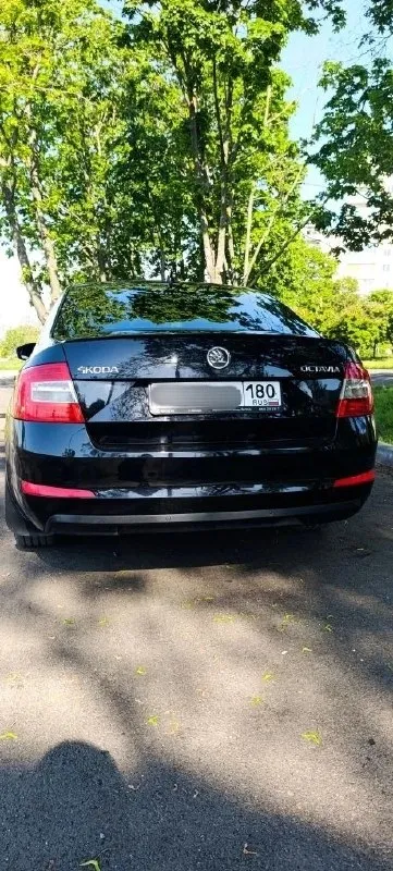 Продам skoda octavia 2014 tsi 1.4 (140л. С. ) 258000км. Цена 1.150.000₽ пред максимальная комплектация, двухзонный климат контроль, мульти-руль, новая резина. Технически обслужен: заменены все расходники и жидкости. Состояние сел и поехал. Тел. +79497058022 г. Мариуполь - фотография - 3