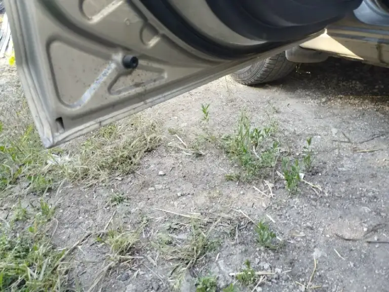 Продам mitsubishi 2008г. Авто на отличном ходу. Мотор 1.5 без масложера. Коробка механика без вопросов. Стеклоподъёмники на всех дверях. Кондиционер работает отлично ноги мёрзнут. Печка жарит. Кузов на отлично. Рабочая лошадка сел катайся куда угодно. Автотека зелень кому надо скину. Цена 530₽. Возможен обмен с вашей доплатой. Макеевка тел+79494003918. Под машиной сухо ни капли масла.
📞 Звоните: +7(949)4003918 - фотография - 6