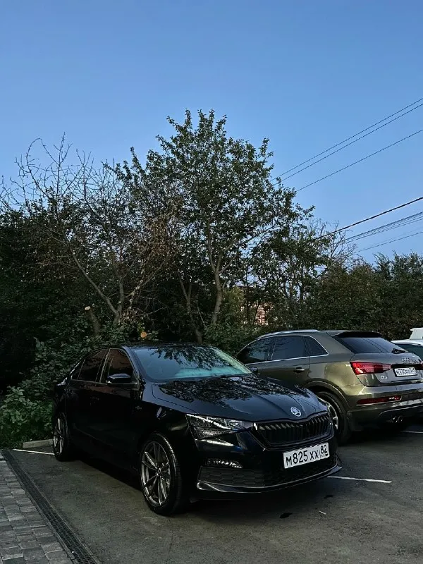 Skoda rapid 2021 г. Надёжный, динамичный и экономичный автомобиль с одним из лучших сочетаний двигателя и коробки в линейке — 1.4 tsi + dsg. Автомобиль в достойном состоянии как технически, так и внешне. За машиной следил, обслуживание проводилось своевременно. Я собственник. Родной пробег — 120 000 км. Двигатель 1.4 tsi и коробка dsg работают без нареканий. Масло менялось каждые 5 000 км. Комплектация включает: • климат-контроль; • мультируль; • круиз-контроль; • подогревы; • и другие полезные опции для комфортной эксплуатации. Автомобиль использовался в личных целях. Салон чистый и ухоженный. Не требует срочных вложений. Любые проверки за ваш счёт приветствуются. Продаю не спеша. Торг возможен только после осмотра автомобиля. Машина находится в г. Ростов на дону. +79493615491 +79785783197
📞 Звоните: +7(949)3615491 - фотография - 1