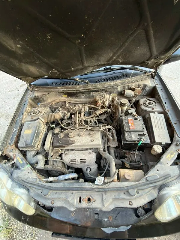 Продам geely ck2 2011г пробег 194.000, механика, объем 1.5, машина на ходу, стоит евро4, есть кондер, 4 стеклоподъемника, подогрев заднего стекла цена 165.000₽ торг у капота осмотр днр г. Макеевка другие вопросы только по телефону феникс +79494239121 андрей
📞 Звоните: +7(949)4239121 - фотография - 8
