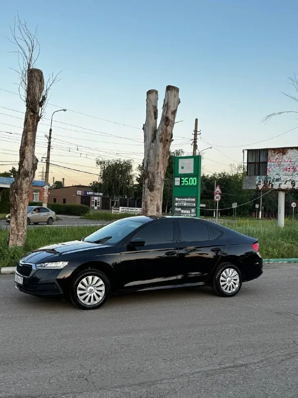 Skoda octavia а8
1.4 Турбо год 2022
Пробег 220000
Коробка автомата асин не
Д с г автомобиль очень комфортный очень бодро едет один владелец автомобиль без дтп заводском окрасе
Машина покупалась в официального дилера не путать с китаем состояние идеальное цена 1.🍋850 торг +79495672089 - фотография - 5