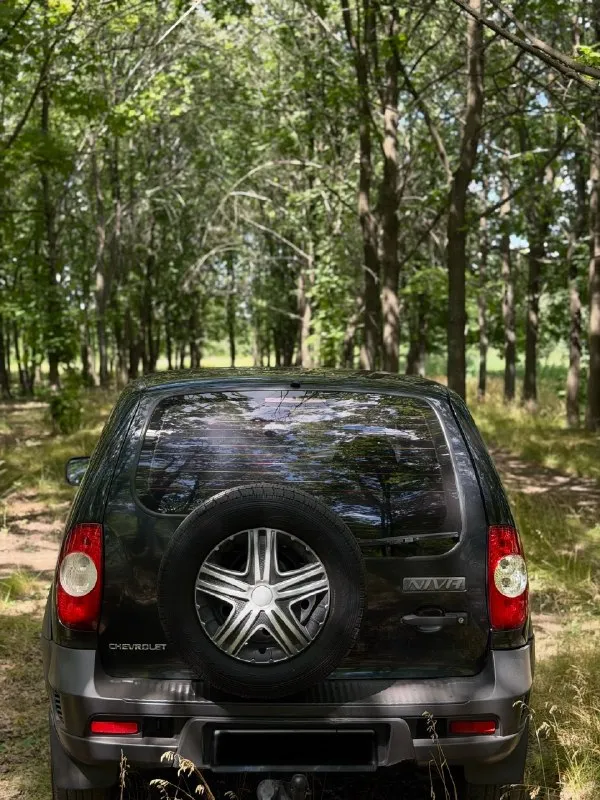 Продам chevrolet nivа 2010 года выпуска bertone edition
Мотор 1.7
Пробег: 155.000 км.
Коробка механика не выбивает не хрустит.
Так же в автомобиле имеется
Передние электро стеклоподъемники,
Электро регулировка боковых зеркал, стоит хорошая музыка.
Машина обслужена полностью,
Из недавнего полностью заменена и проверена система охлаждения, новая летняя резина(так же комплект зимней резины) перебрана ходовая часть
Любые проверки приветствуются
Полная юридическая чистота любой вид переоформления
Цена 470.000₽ аргументированный торг приветствуется.
Номер для связи +79493224930
📞 🇷🇺 Звоните: +79493224930 - фотография - 4