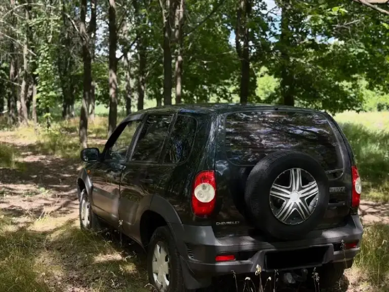 Продам chevrolet nivа 2010 года выпуска bertone edition
Мотор 1.7
Пробег: 155.000 км.
Коробка механика не выбивает не хрустит.
Так же в автомобиле имеется
Передние электро стеклоподъемники,
Электро регулировка боковых зеркал, стоит хорошая музыка.
Машина обслужена полностью,
Из недавнего полностью заменена и проверена система охлаждения, новая летняя резина(так же комплект зимней резины) перебрана ходовая часть
Любые проверки приветствуются
Полная юридическая чистота любой вид переоформления
Цена 470.000₽ аргументированный торг приветствуется.
Номер для связи +79493224930
📞 🇷🇺 Звоните: +79493224930 - фотография - 6
