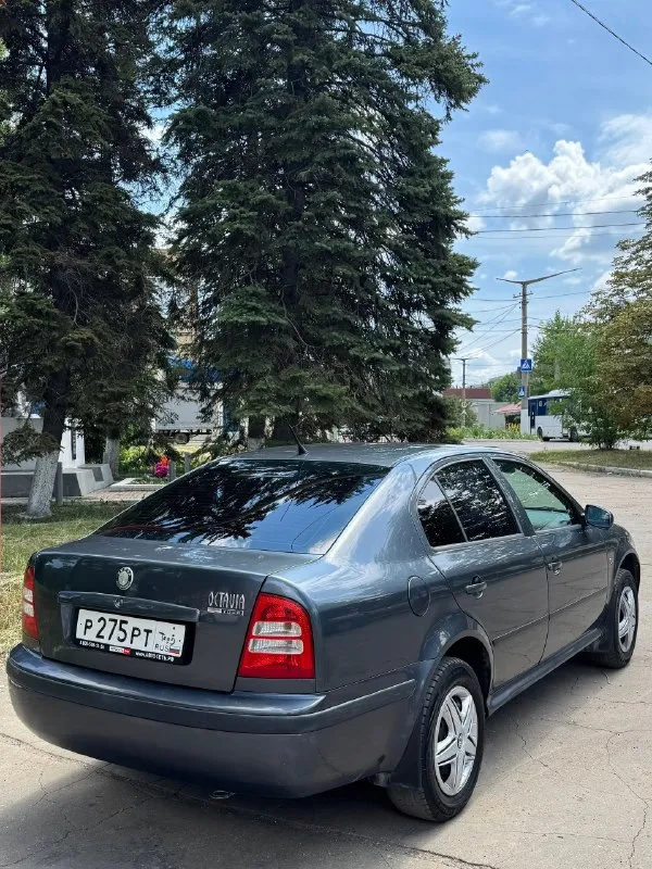 Цена 620.000
Skoda octavia a4 tour. Шкода октавия тур. Кузов лифтбек. 2008г. Механика. 2 владельца за все время. Пробег 205.000км. Двигатель 1.6mpi. Bfq самый простой и надежный. Ошибок нет. Масло не жрет, не дымит, работает хорошо.
Пороги и дно автомобиля в отличном состоянии. По кузову хорошо сохранилась, ржавчины нет, есть эксплуатационные моменты в виде сколов, небольших вмятин, царапин. Полностью родной окрас. Лобовое оригинал. Ручник работает.
Салон в хорошем состоянии. Есть простая музыка. Кондиционер холодит. Все функции автомобиля работают. Установлены led лампы с линзой, свет отличный. Резина свежая.
Все герметики, сварные точки и т. Д. Заводские).
Торг у капота, находится в макеевке
+79493594733
📞 🇷🇺 Звоните: +79493594733 - фотография - 3