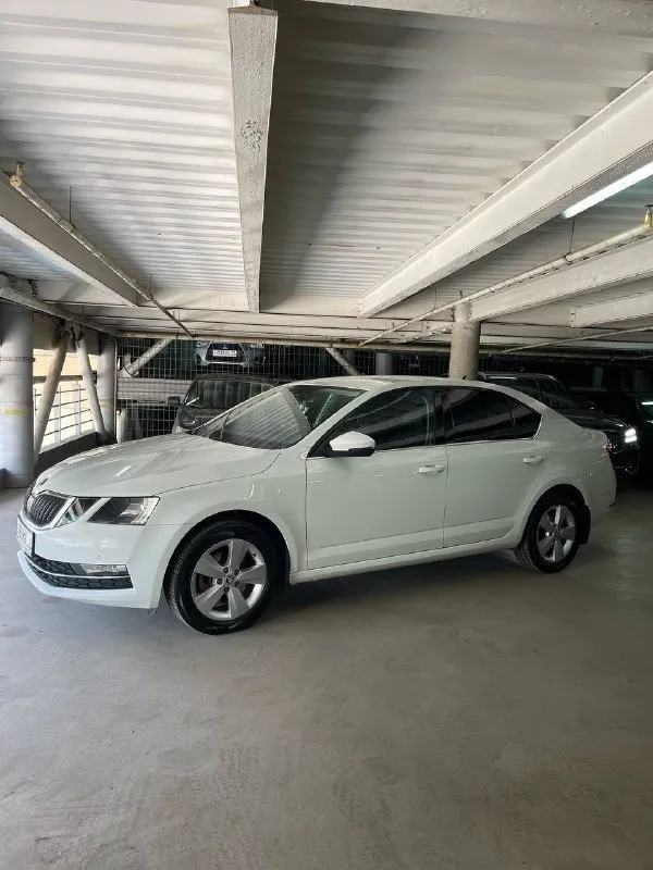 Срочно продаю skоda octavia а7 (ноябрь 2018). Двигатель 1.4 турбо, автомат. Состояние отличное, не бит, не крашен. Птс оригинальный, 2 владельца. Комплектация носkey еditiоn: зимний пакет (подогрев сидений, руля, стекол), датчики света/дождя, автозатемнение зеркала, круиз-контроль, android auto/carplay, 8 динамиков, парктроники, 220в и usb сзади, мультируль. Сигнализация пандора с автозапуском. Новая летняя резина на заводских дисках. Шумоизоляция дверей. Замена масла каждые 7 тыс. Км, расход масла отсутствует. Без вложений. Цена 1.250
Донецк +79495369870. - фотография - 8