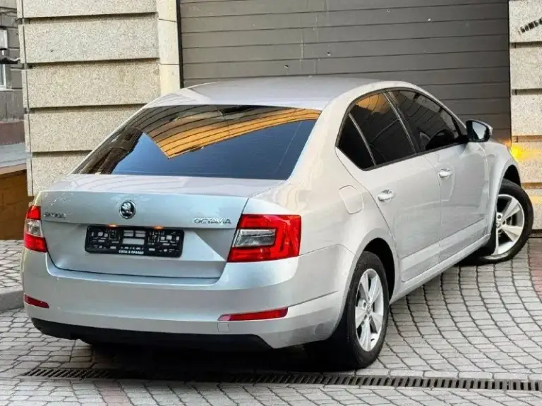 В продаже skoda octavia a7 рейсталенг
Год выпуска 2015
Кпп механическая 6 ступенчатая
Объем 1.4 турбо:140.лс
Цена 930.000
Максимальная комплектация!двухзонный климат контроль, подогрев сидений, подогрев стекл, электро складывание боковых зеркал, полный мультируль, датчик дождя, датчик света, подогрев лобового переднего заднего, подогрев боковых зеркал, система адаптивного освещения afs, abs/esp, многофункциональный бортовой компьютер, проекция климата,
4 Электростеклоподъемника
Зарядное устройство v12
Два комплекта резины с дисками.
И много чего прочего для комфортного вождения.
История автомобиля прозрачна и чиста.
Куплен и обслуживался у официального дилера, в службах не использовалась, замена всех расходников была по регламенту, автомобиль не требует вложений от слова совсем!
Готов на любые проверки с вашей стороны
Диагностическая карта в наличии
У автомобиля отсутствуют ваговские болячки.
Все системы работают идеально, без ошибок и замечаний.
Цена 930.000
+7949-517-48-
📞 Звоните: +7(949)5174855 - фотография - 5