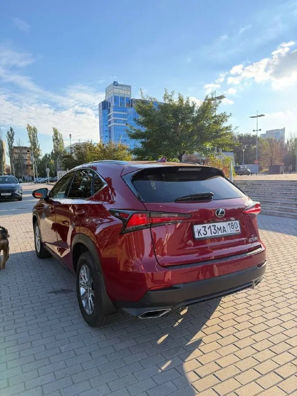 В продаже lexus nx300 с полным приводом. Дата выпуска 2020/09. Идеальное состояние. Комплектация с вентиляцией и обогревом сидений и руля. Продажа срочная 🚨 в связи с приобретением нового авто. Два комплекта резины.
Обращайтесь по телефону +79493399328 (telegram) - ростислав. - фотография - 5