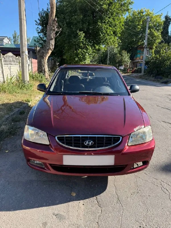 Продам hyundai accent, 2008 год, 1.5, механика, пробег 255 тыс

Акцент по цене ланоса, езжу каждый день. Двигатель работает хорошо, коробка переключается без проблем. По ходовой тоже без каких-то моментов, едет уверенно.

По кузову есть возрастные недостатки: сколы, царапины, местами ржавчина по порогам. Машина не новая, на фото всё видно.

Салон в хорошем состояние, кондиционер работает, заправлен, электростеклоподъёмники, гидроусилитель руля, музыка. Стоит на литых дисках, резина свежая

Простой и недорогой автомобиль в обслуживании, хороший вариант на каждый день, небольшой торг.

Цена : 330.000 рублей
Номер +7949 505 505 3
📞 🇷🇺 Звоните: +79495055053 - фотография - 1