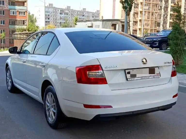 Skoda octavia 2016 1.6 mt

- Коробка мех
-1 Собственник
-Пробег 172000
-Цена 1.285000₽
-Мариуполь
-Тел: +79494676510

Автомобиль в отличном состоянии, один собственник взрослый человек, своевременно обслуживался. Кузов без дефектов в дтп никогда не участвовал, техническая часть без вложений, реальный пробег, в коммерческих целях не использовался.
Подогрев сидений и зеркал, противотуманные фары, сенсорная мультимедиа с bluetooth и громкой связью, литые диски тонировка стекол, полностью прозрачная история два ключа птс оригинал. Живейший автомобиль без подводных камней. - фотография - 6